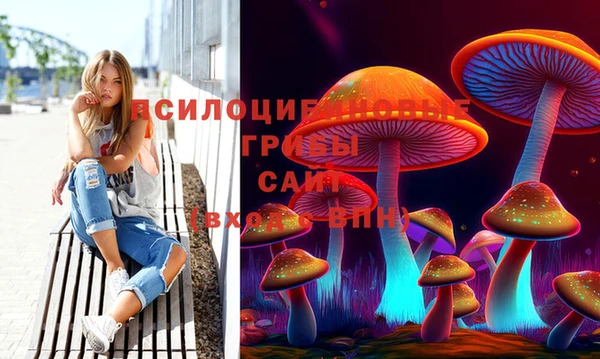 амф Абдулино