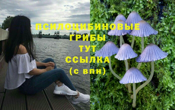 прущая мука Россошь