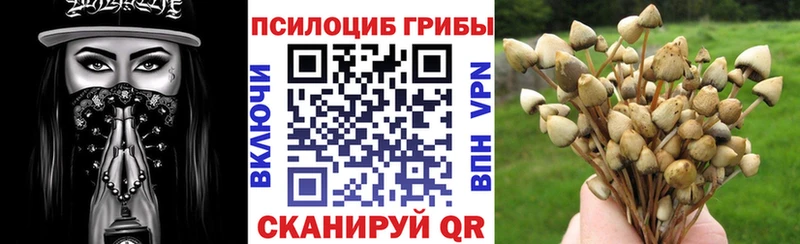 Псилоцибиновые грибы Magic Shrooms  Котлас 