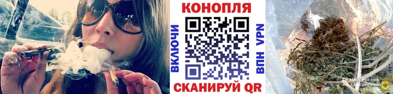где купить наркоту  Котлас  Бошки Шишки Bruce Banner 